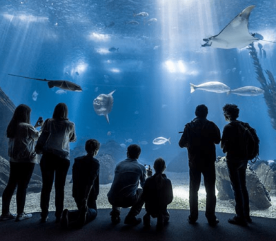 Aquarium Lisbon